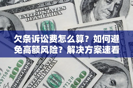 北京欠条诉讼费怎么算？如何避免高额风险？解决方案速看！